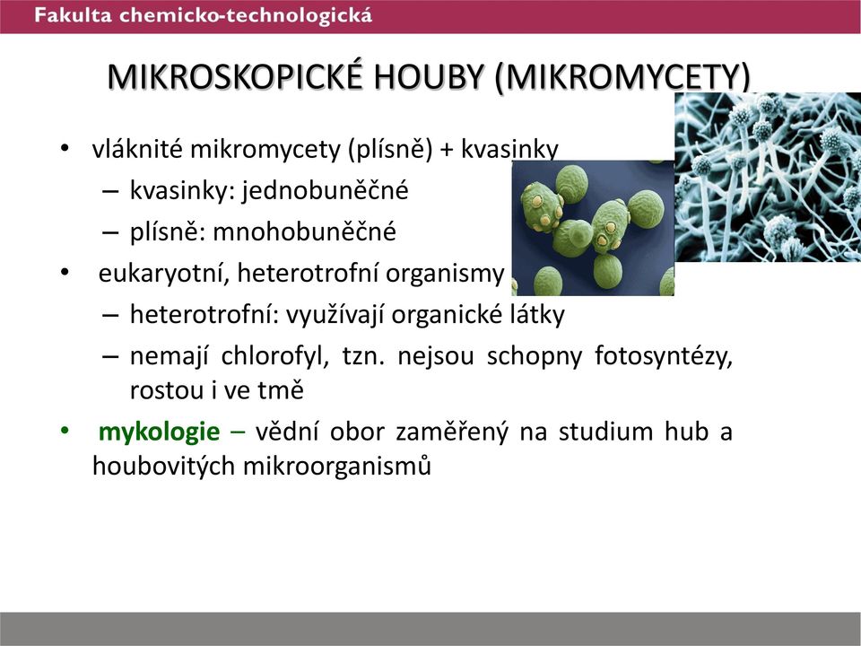 heterotrofní: využívají organické látky nemají chlorofyl, tzn.