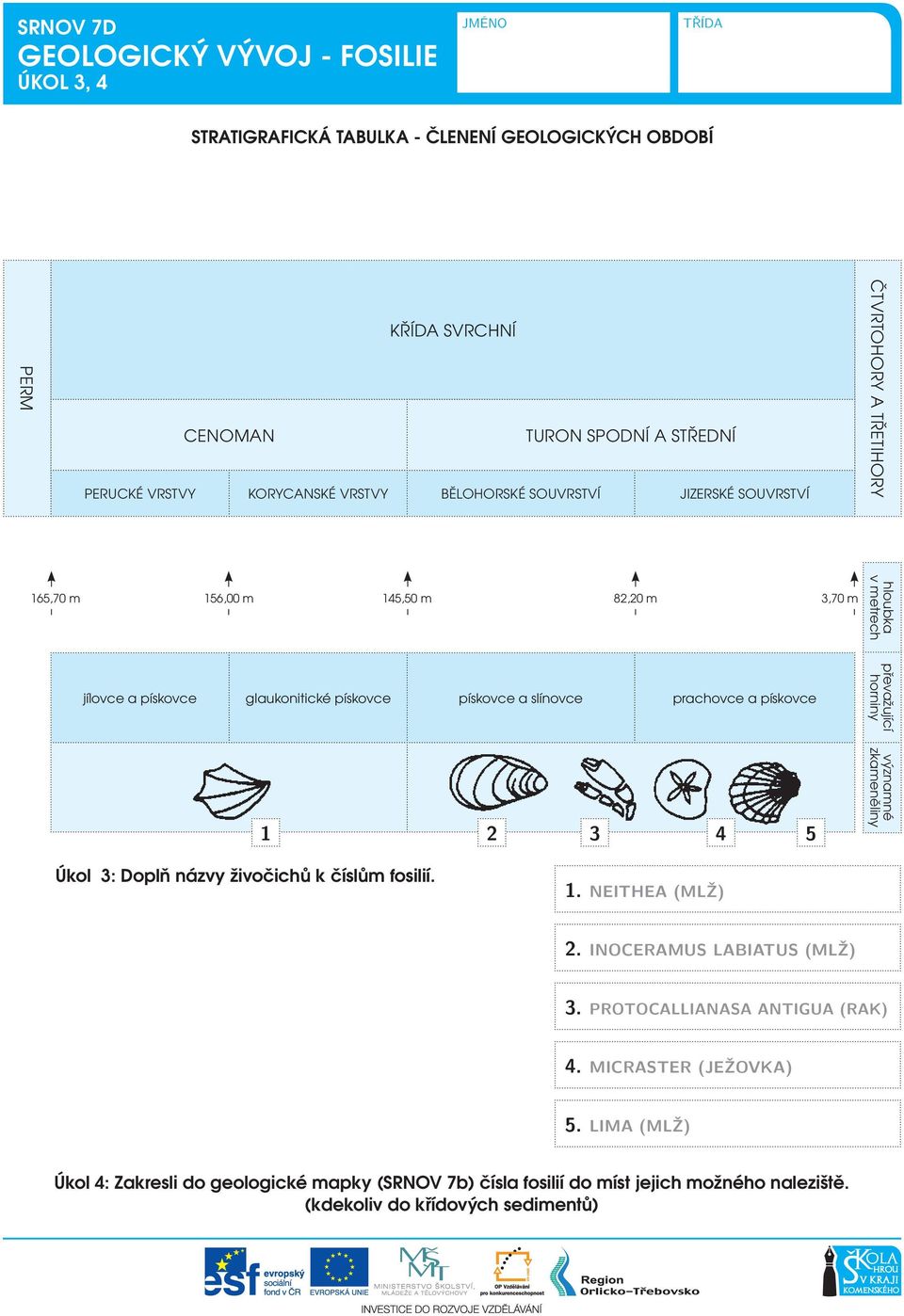 slínovce prachovce a pískovce převažující horniny 1 2 3 4 5 významné zkameněliny Úkol 3: Doplň názvy živočichů k číslům fosilií. 1. Neithea (mlž) 2. Inoceramus labiatus (mlž) 3.
