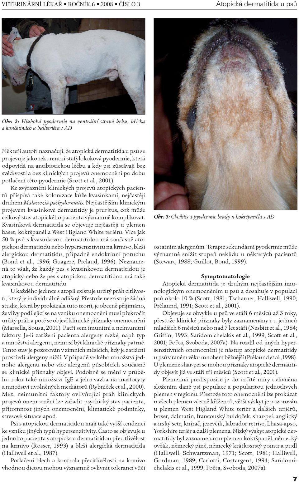 která odpovídá na antibiotickou léèbu a kdy psi zùstávají bez svìdivosti a bez klinických projevù onemocnìní po dobu potlaèení této pyodermie (Scott et al., 2001).