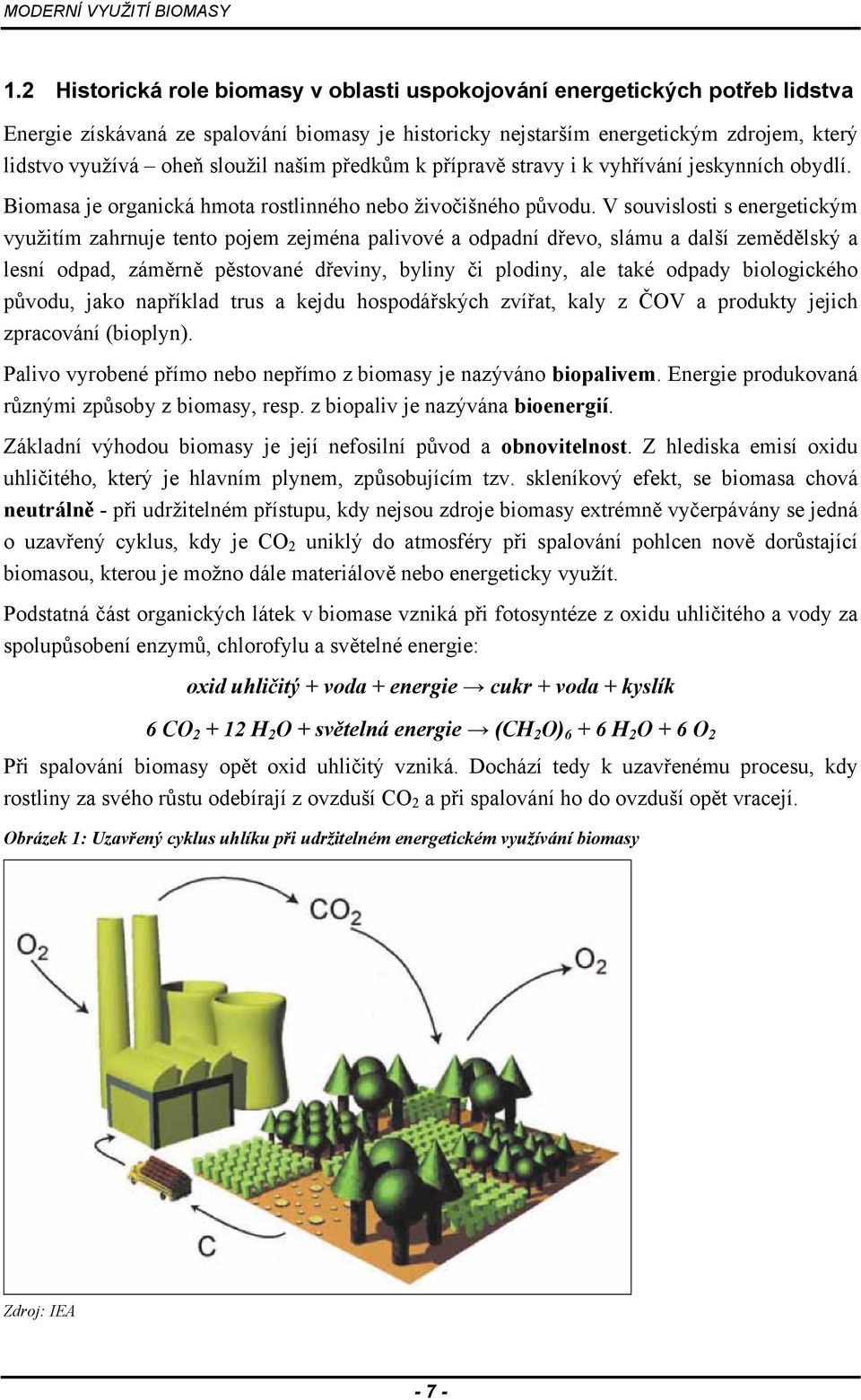 V souvislosti s energetickým využitím zahrnuje tento pojem zejména palivové a odpadní dřevo, slámu a další zemědělský a lesní odpad, záměrně pěstované dřeviny, byliny či plodiny, ale také odpady