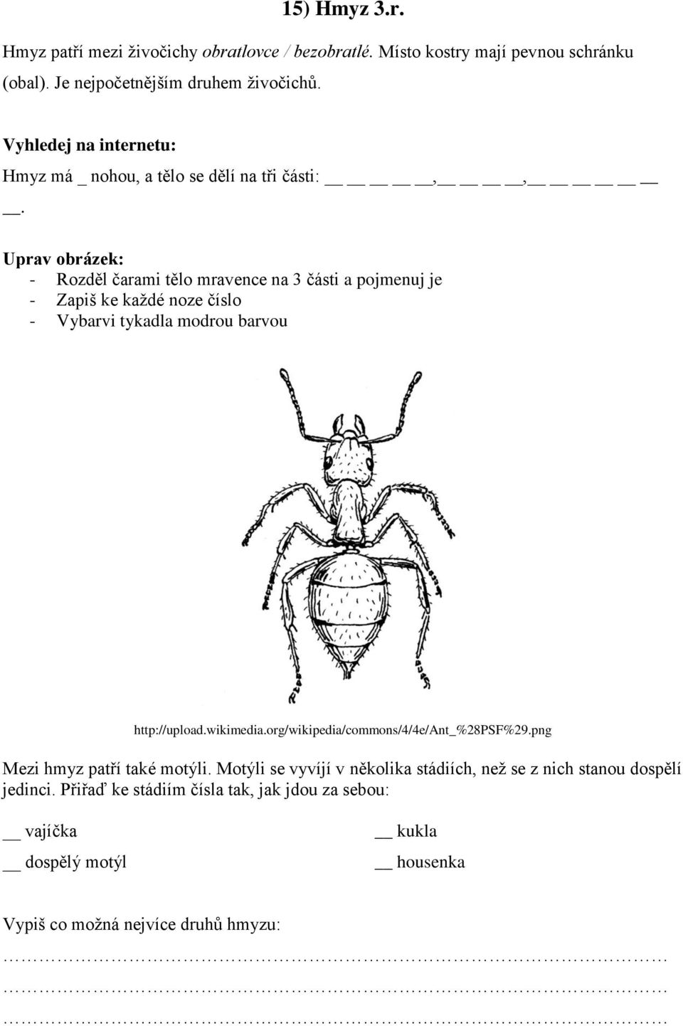 Uprav obrázek: - Rozděl čarami tělo mravence na 3 části a pojmenuj je - Zapiš ke každé noze číslo - Vybarvi tykadla modrou barvou http://upload.wikimedia.
