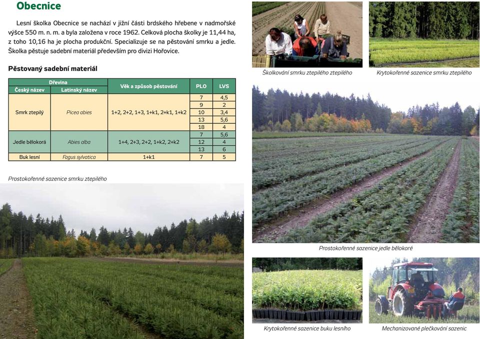 Český název Latinský název Věk a způsob pěstování PLO LVS 7 4,5 9 2 Smrk ztepilý Picea abies 1+2, 2+2, 1+3, 1+k1, 2+k1, 1+k2 10 3,4 13 5,6 7 5,6 Jedle bělokorá Abies alba 1+4, 2+3, 2+2, 1+k2,