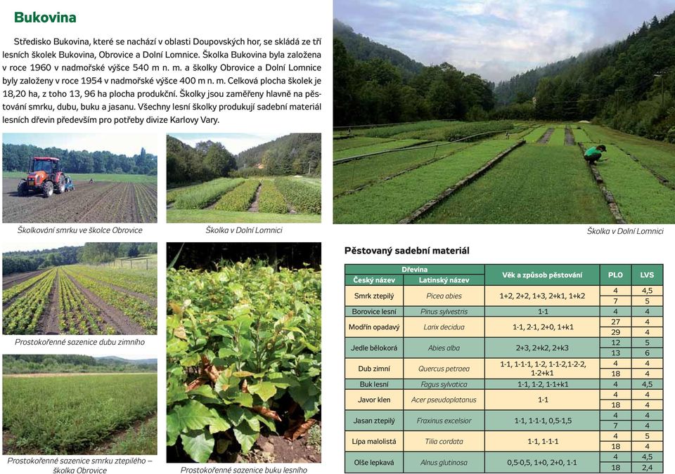 Školky jsou zaměřeny hlavně na pěstování smrku, dubu, buku a jasanu. Všechny lesní školky produkují sadební materiál lesních dřevin především pro potřeby divize Karlovy Vary.