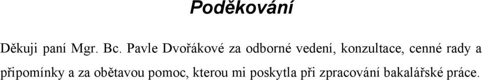 konzultace, cenné rady a připomínky a za