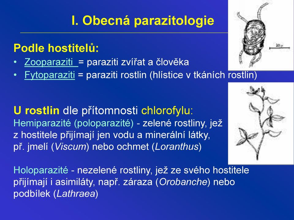 jež z hostitele přijímají jen vodu a minerální látky, př.