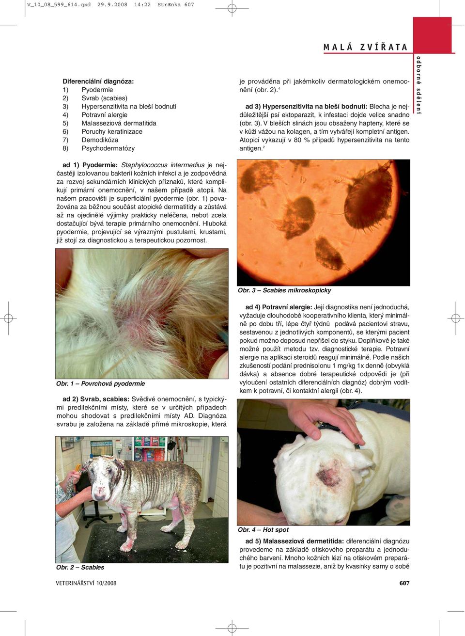 9.2008 14:22 StrÆnka 607 Diferenciální diagnóza: 1) Pyodermie 2) Svrab (scabies) 3) Hypersenzitivita na bleší bodnutí 4) Potravní alergie 5) Malasseziová dermatitida 6) Poruchy keratinizace 7)