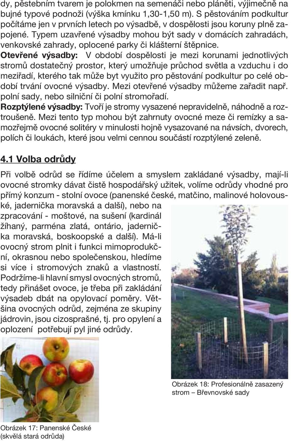 Typem uzavřené výsadby mohou být sady v domácích zahradách, venkovské zahrady, oplocené parky či klášterní štěpnice.
