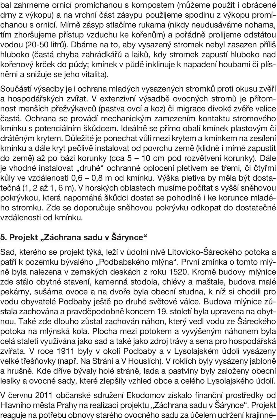 Dbáme na to, aby vysazený stromek nebyl zasazen příliš hluboko (častá chyba zahrádkářů a laiků, kdy stromek zapustí hluboko nad kořenový krček do půdy; kmínek v půdě inklinuje k napadení houbami či