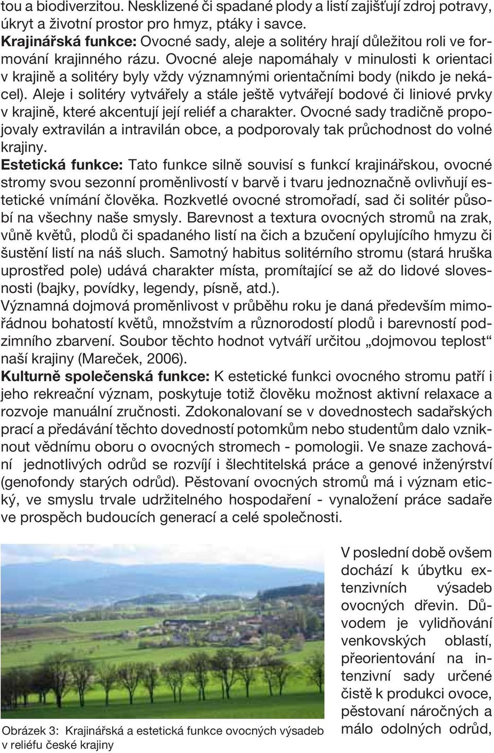 Ovocné aleje napomáhaly v minulosti k orientaci v krajině a solitéry byly vždy významnými orientačními body (nikdo je nekácel).