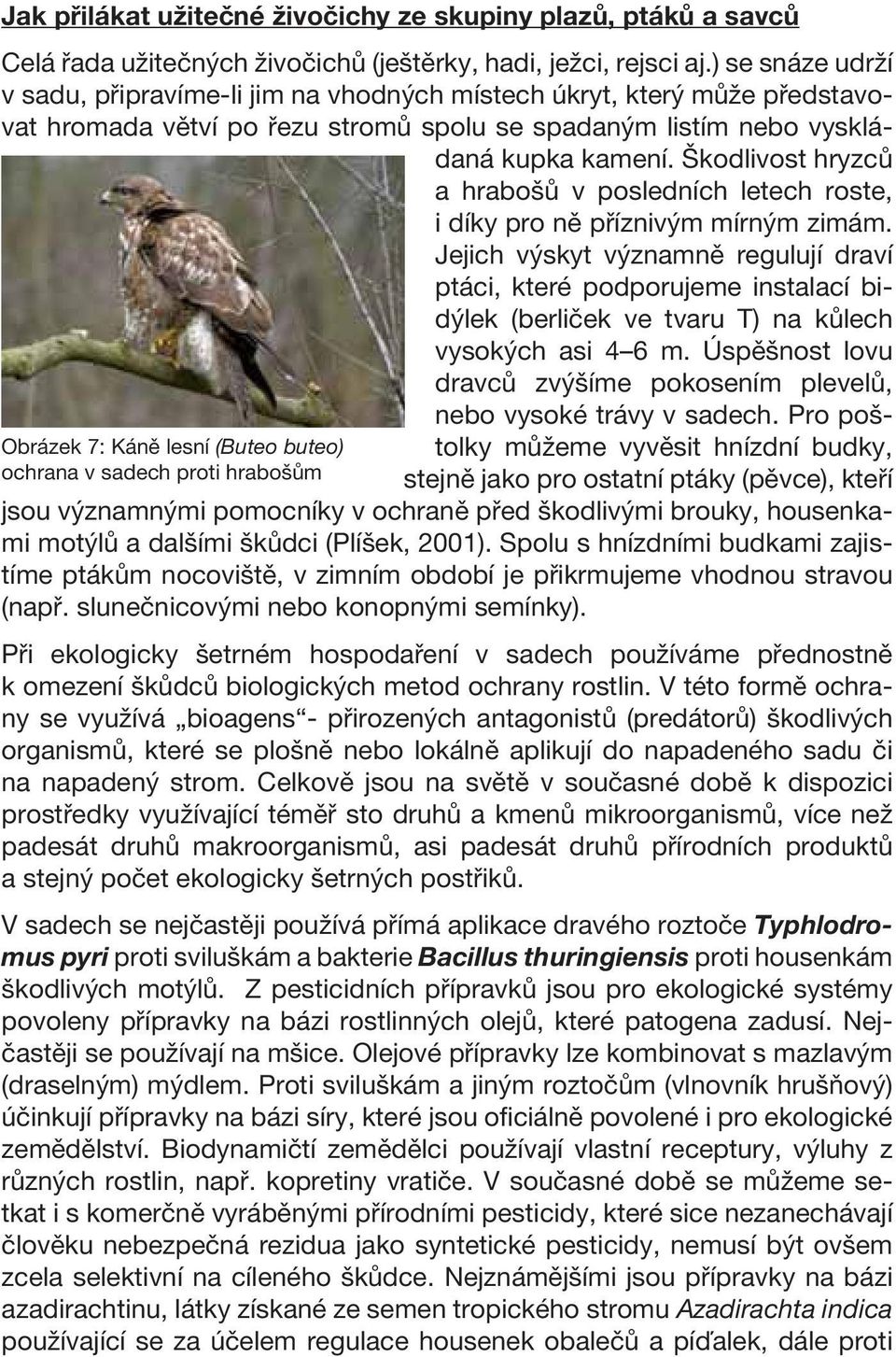 Škodlivost hryzců a hrabošů v posledních letech roste, i díky pro ně příznivým mírným zimám.