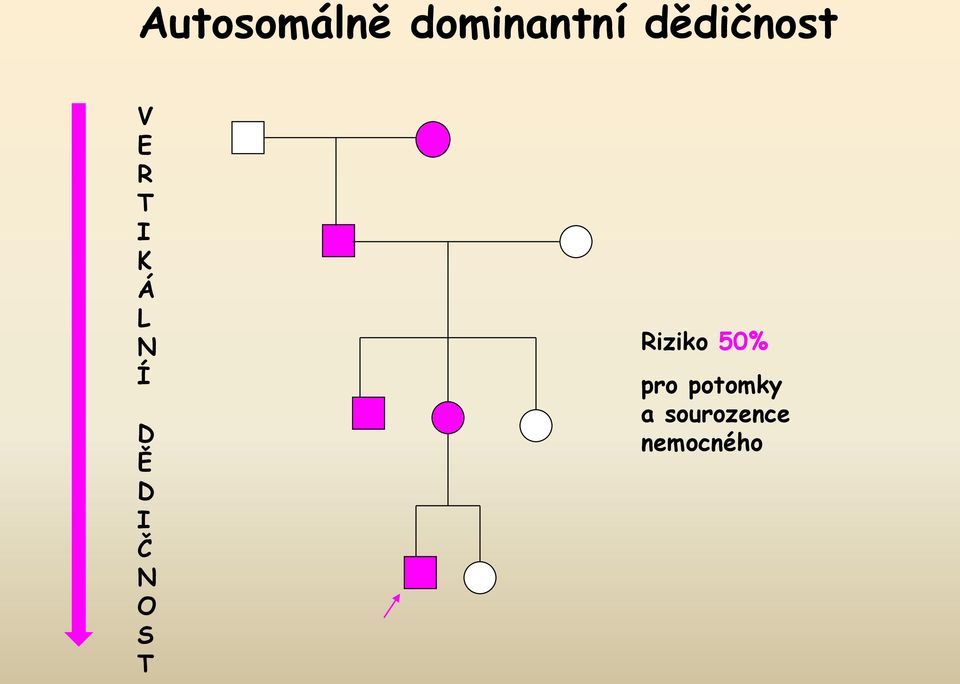 Í D Ě D I Č N O S T Riziko