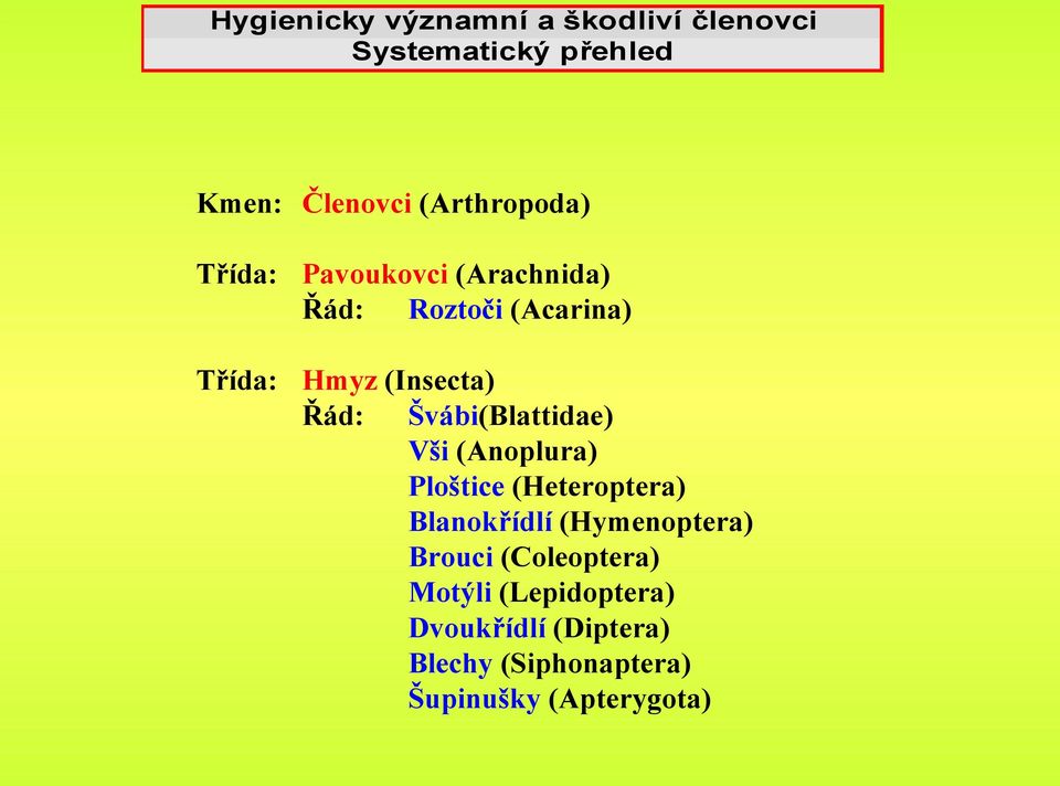 Švábi(Blattidae) Vši (Anoplura) Ploštice (Heteroptera) Blanokřídlí (Hymenoptera) Brouci