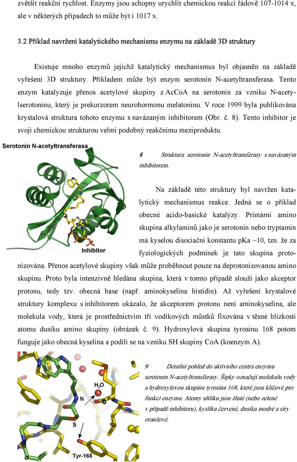Příkladem může být enzym serotonin N-acetyltransferasa. Tento enzym katalyzuje přenos acetylové skupiny z AcCoA na serotonin za vzniku N-acetylserotoninu, který je prekurzorem neurohormonu melatoninu.
