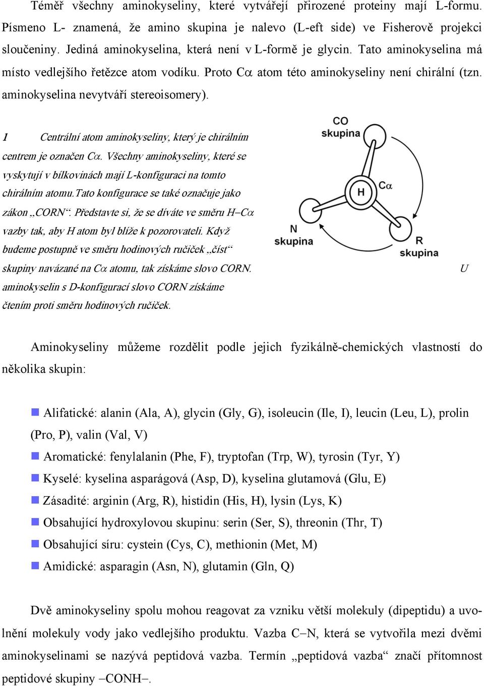 aminokyselina nevytváří stereoisomery). 1 Centrální atom aminokyseliny, který je chirálním centrem je označen Cα.