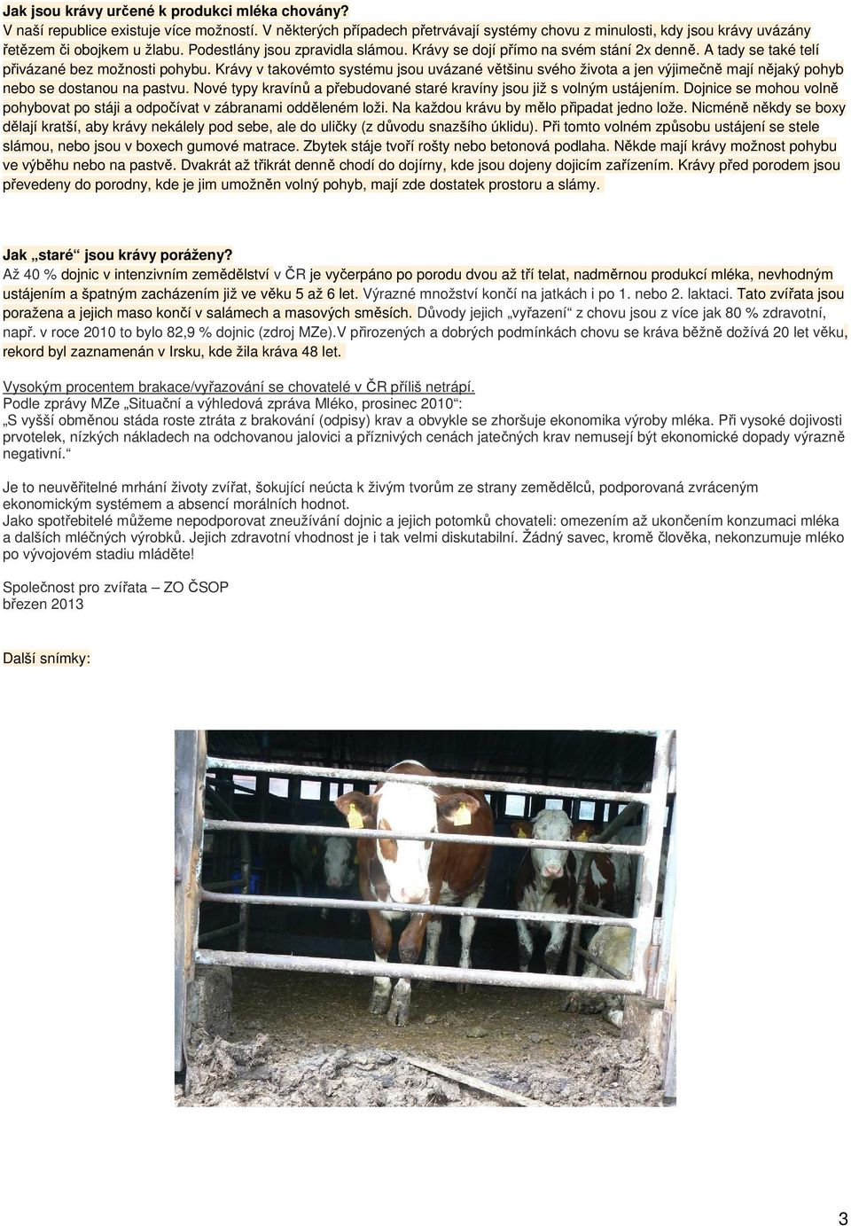 Krávy v takovémto systému jsou uvázané většinu svého života a jen výjimečně mají nějaký pohyb nebo se dostanou na pastvu. Nové typy kravínů a přebudované staré kravíny jsou již s volným ustájením.