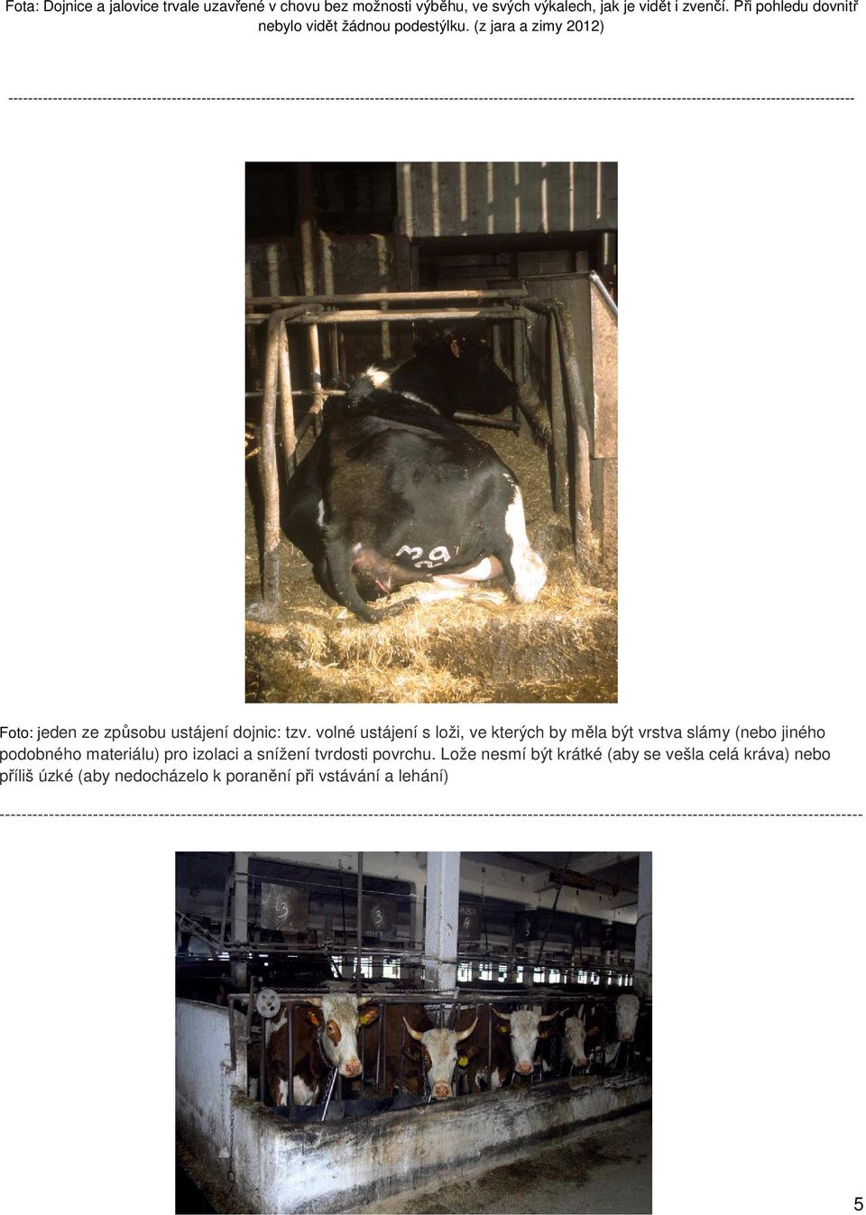jeden ze způsobu ustájení dojnic: tzv. volné ustájení s loži, ve kterých by měla být vrstva slámy (nebo jiného podobného materiálu) pro izolaci a snížení tvrdosti povrchu.
