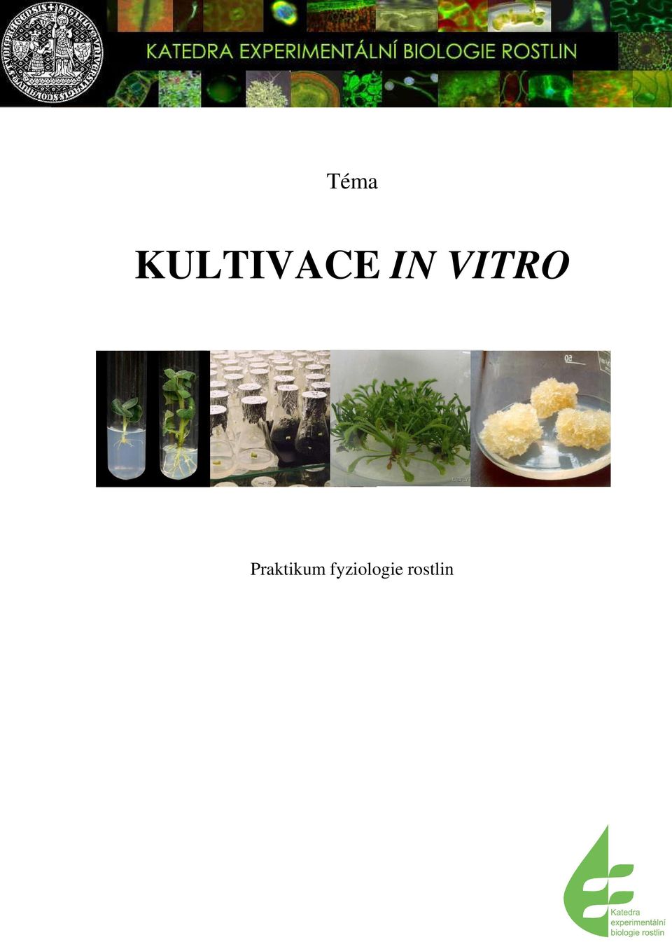 VITRO