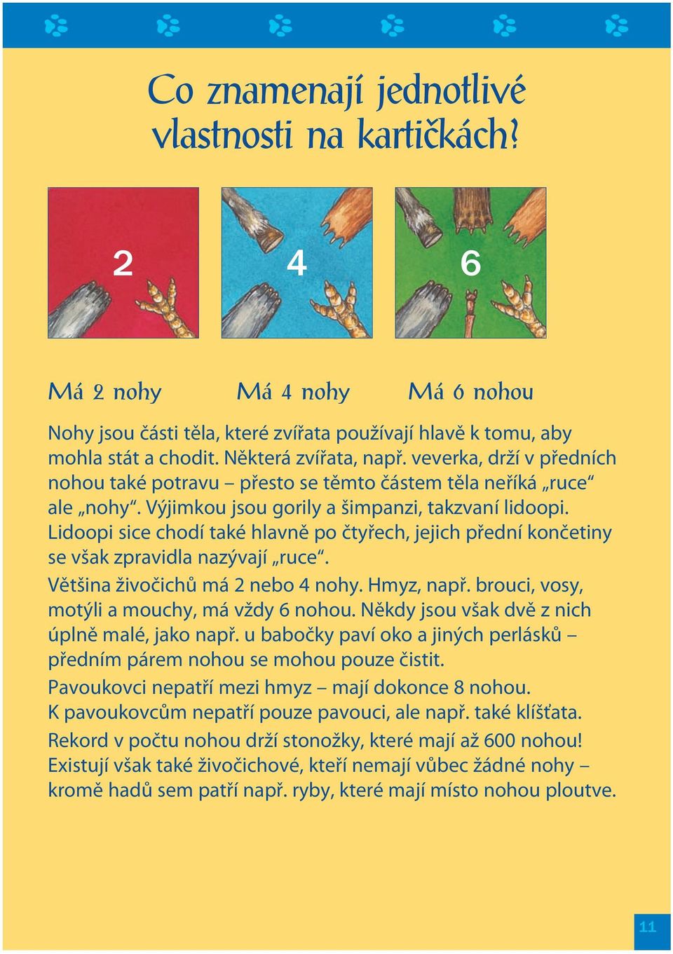 Lidoopi sice chodí také hlavně po čtyřech, jejich přední končetiny se však zpravidla nazývají ruce. Většina živočichů má 2 nebo nohy. Hmyz, např. brouci, vosy, motýli a mouchy, má vždy 6 nohou.