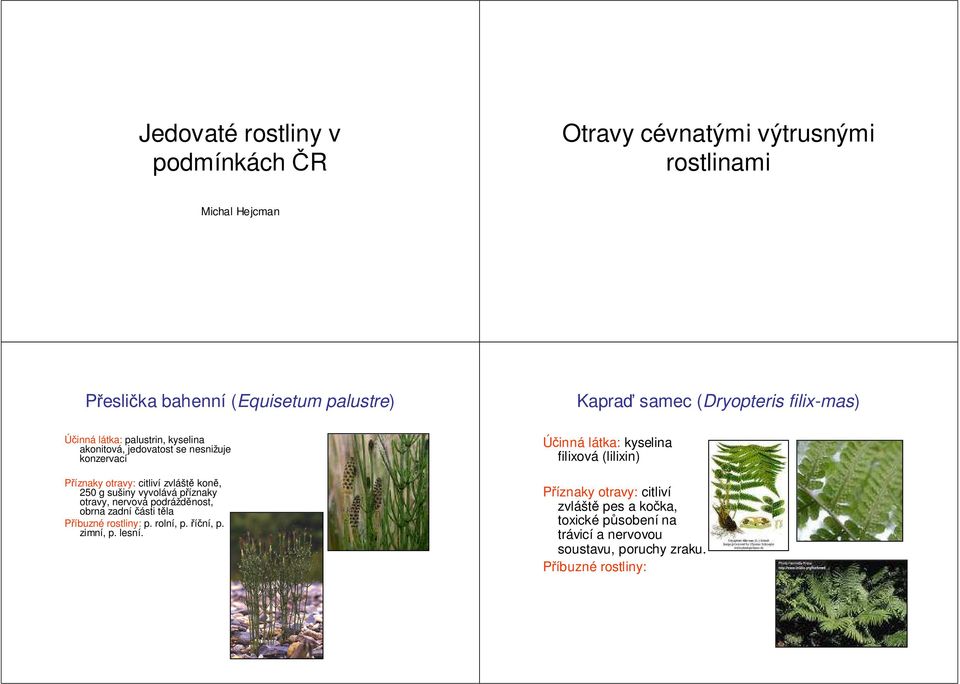 vyvolává příznaky otravy, nervová podrážděnost, obrna zadní části těla Příbuzné rostliny: p. rolní, p. říční, p. zimní, p. lesní.