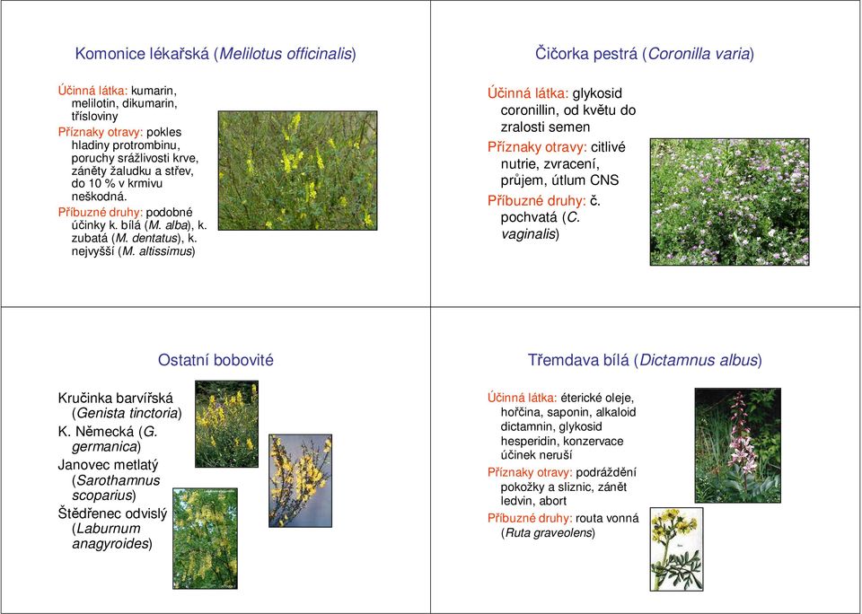 altissimus) glykosid coronillin, od květu do zralosti semen citlivé nutrie, zvracení, průjem, útlum CNS Příbuzné druhy: č. pochvatá (C.