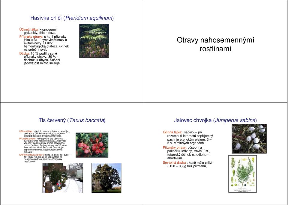 Otravy nahosemennými rostlinami Tis červený (Taxus baccata) Jalovec chvojka (Juniperus sabina) alkaloid taxin - srdeční a cévní jed, taxikatin s účinkem na srdce, taxogenin, alkaloid milossin,