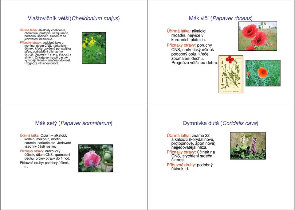 Koně značná odolnost. Prognóza většinou dobrá. alkaloid rhoadin, nejvíce v korunních plátcích. poruchy CNS, narkotický účinek podobný opiu, křeče, zpomalení dechu. Prognóza většinou dobrá. Mák setý (Papaver somniferum) Dymnivka dutá (Coridalis cava) Opium alkaloidy kodein, mekonin, morfin, narcein, narkotin atd.