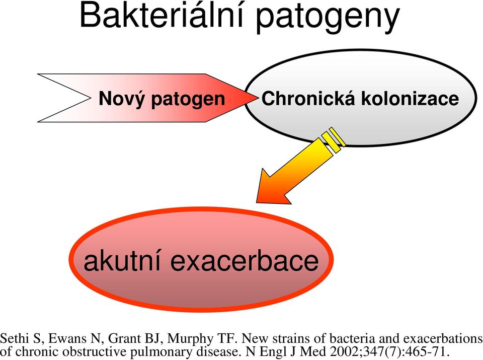 New strains of bacteria and exacerbations of chronic