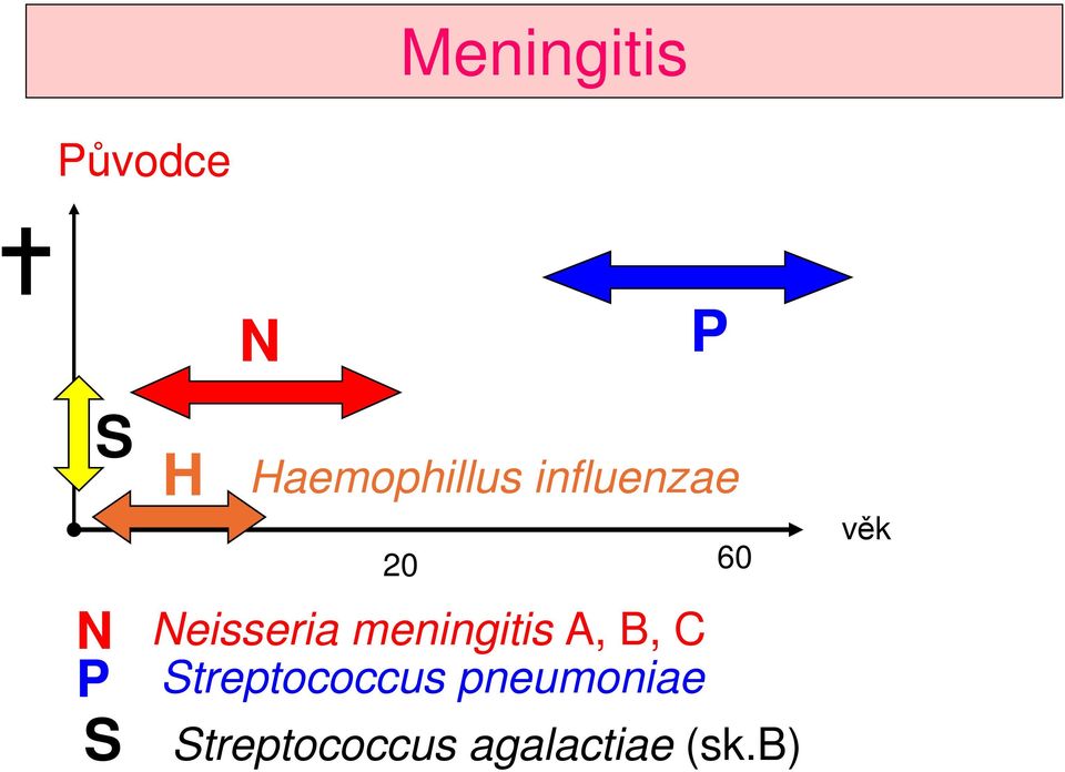 Neisseria meningitis A, B, C