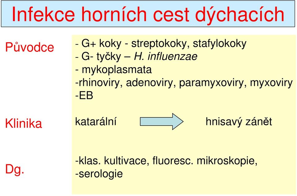 influenzae - mykoplasmata -rhinoviry, adenoviry, paramyxoviry,