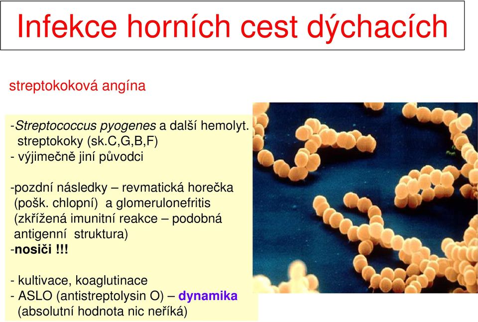 chlopní) a glomerulonefritis (zkřížená imunitní reakce podobná antigenní struktura) -nosiči!