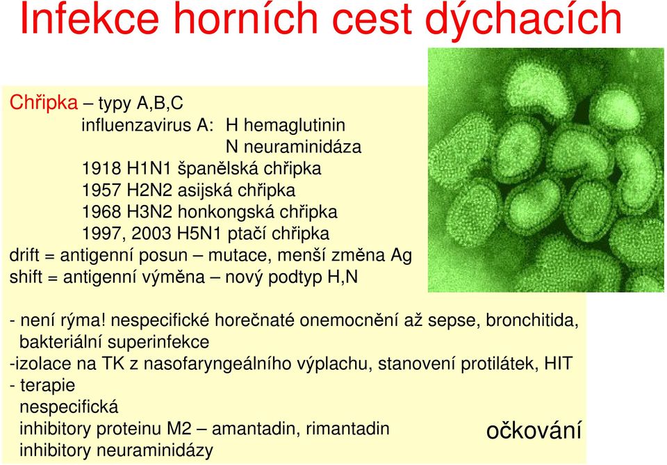 antigenní výměna nový podtyp H,N - není rýma!