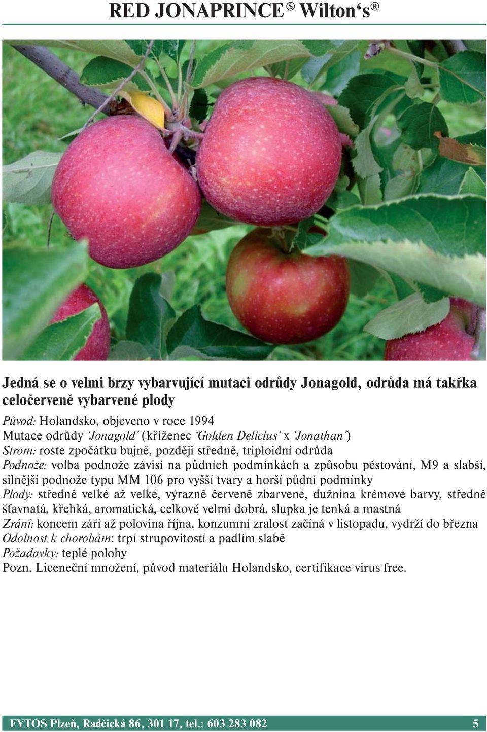 MM 106 pro vyšší tvary a horší půdní podmínky Plody: středně velké až velké, výrazně červeně zbarvené, dužnina krémové barvy, středně šťavnatá, křehká, aromatická, celkově velmi dobrá, slupka je