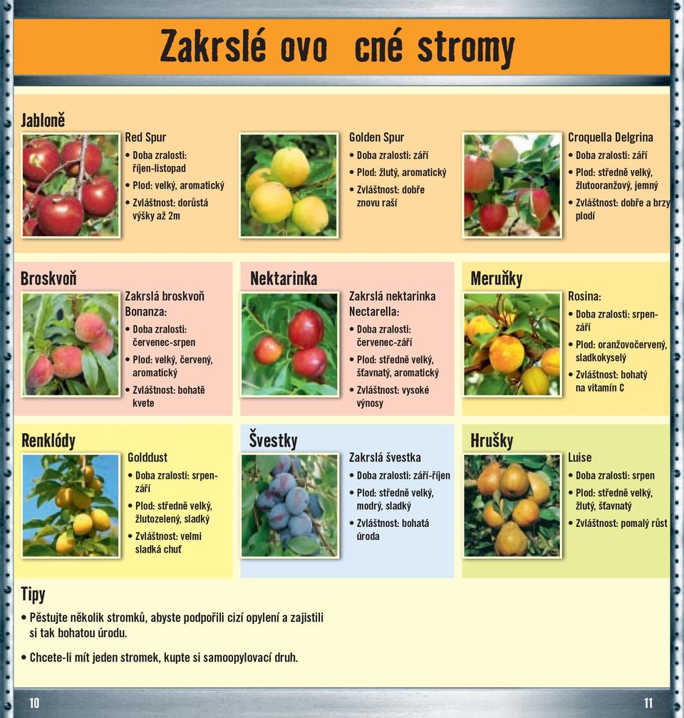 Nectarella: červenec-září šťavnatý, aromatický Zvláštnost: vysoké výnosy Meruňky Rosina: srpenzáří Plod: oranžovočervený, Zvláštnost: bohatý na vitamín C Renklódy Golddust srpenzáří žlutozelený,