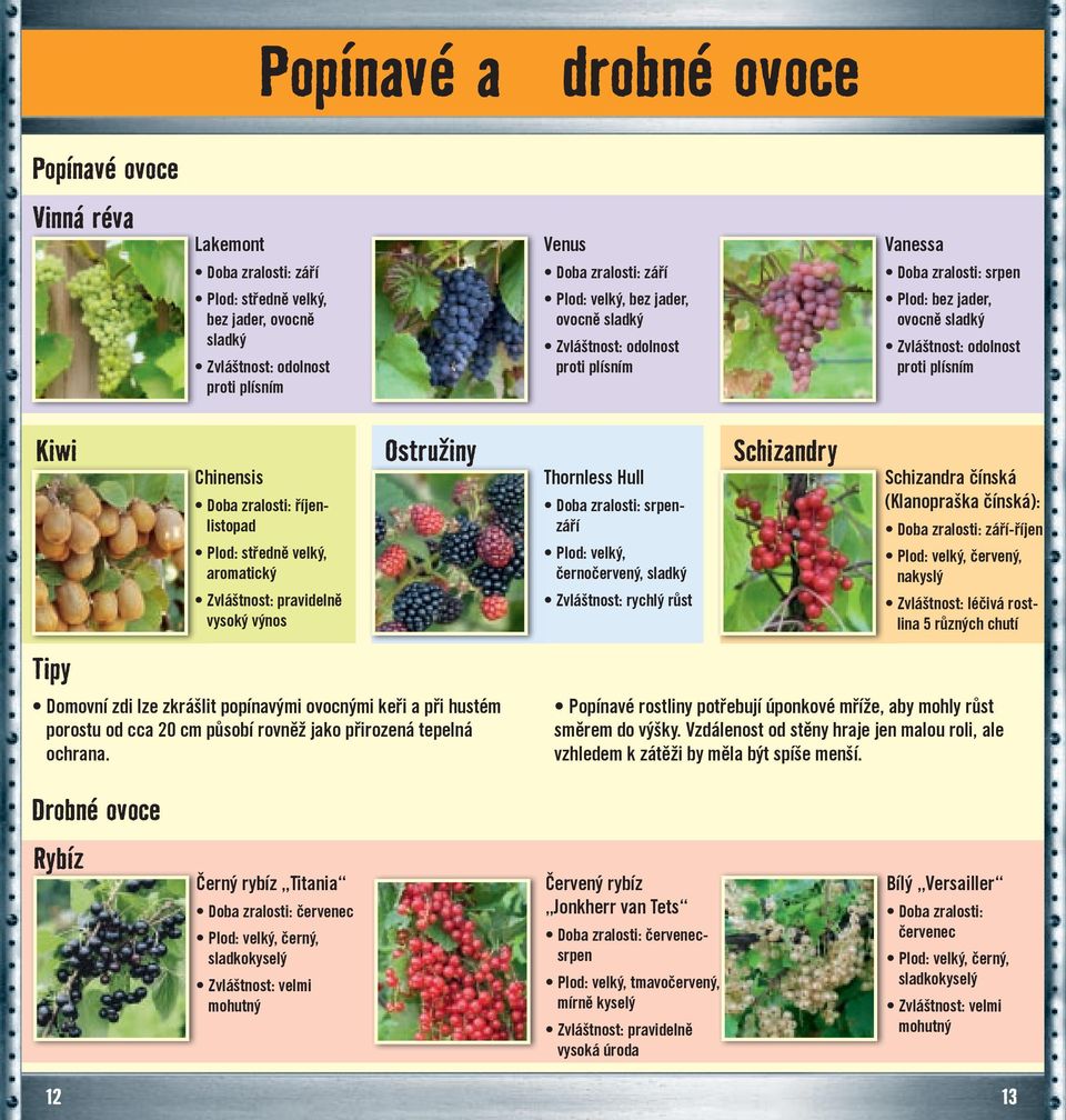 Schizandry Schizandra čínská (Klanopraška čínská): září-říjen Plod: velký, červený, nakyslý Zvláštnost: léčivá rostlina 5 různých chutí Tipy Domovní zdi lze zkrášlit popínavými ovocnými keři a při