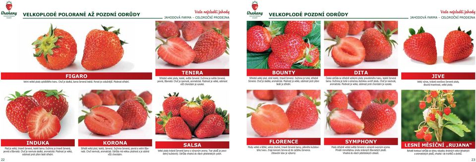 Chuť je navinulá, aromatická. Plodnost je velká, odolnost vůči chorobám je vysoká. BOUNTY Středně velký plod, silně lesklý, tmavě červený. Dužnina je tuhá, středně červená. Chuť je sladká, aromatická.