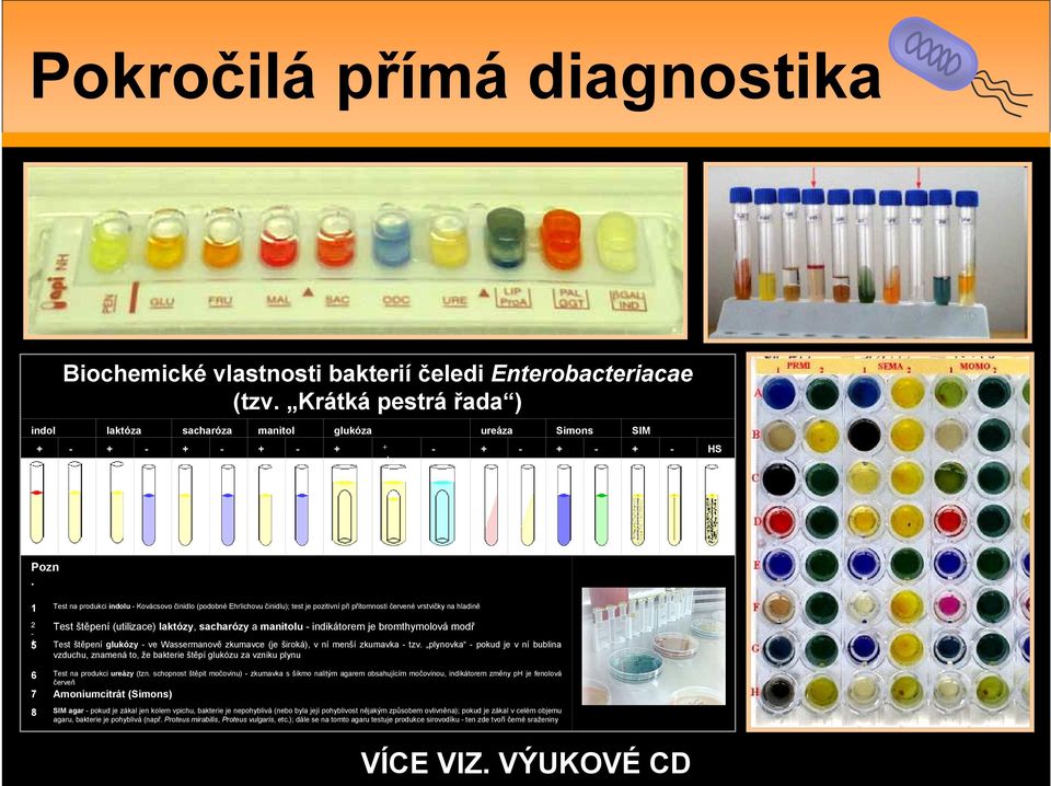 1 Test na produkci indolu - Kovácsovo činidlo (podobné Ehrlichovu činidlu); test je pozitivní při přítomnosti červené vrstvičky na hladině 2 Test štěpení (utilizace) laktózy, sacharózy a manitolu -