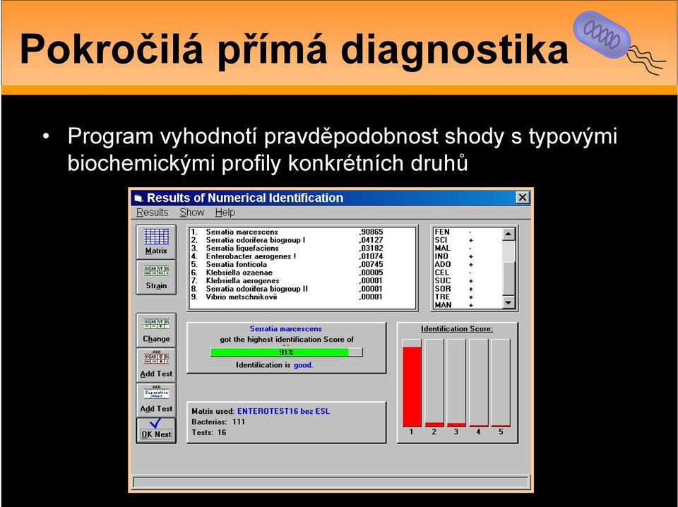 pravděpodobnost shody s