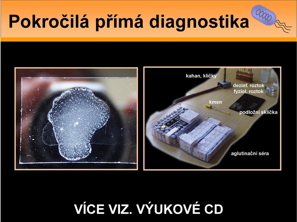 diagnostika