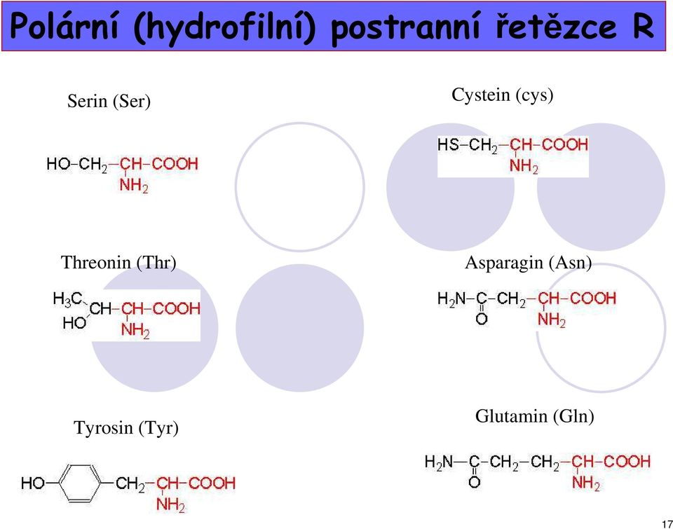 (cys) Threonin (Thr) Asparagin