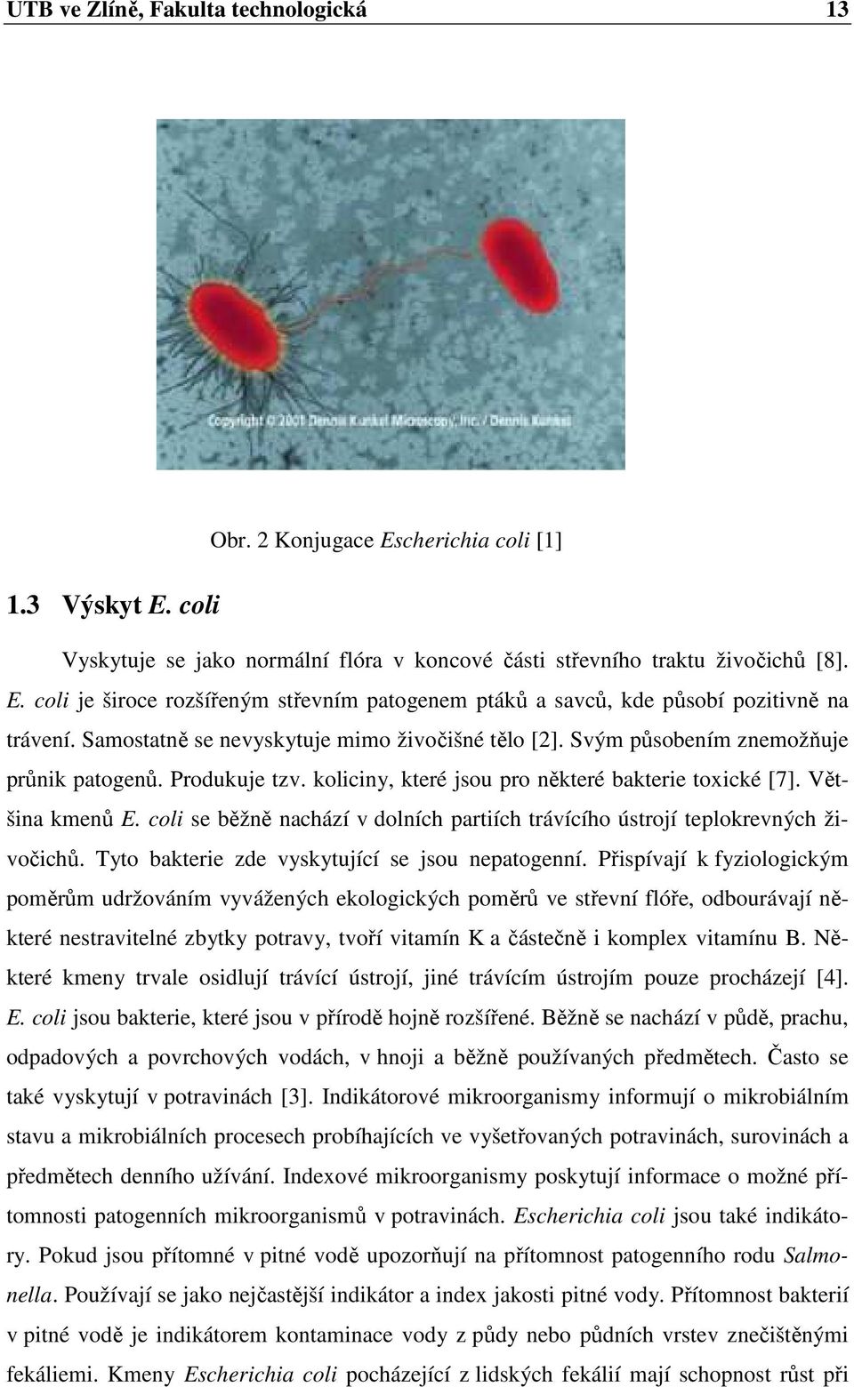 coli se běžně nachází v dolních partiích trávícího ústrojí teplokrevných živočichů. Tyto bakterie zde vyskytující se jsou nepatogenní.