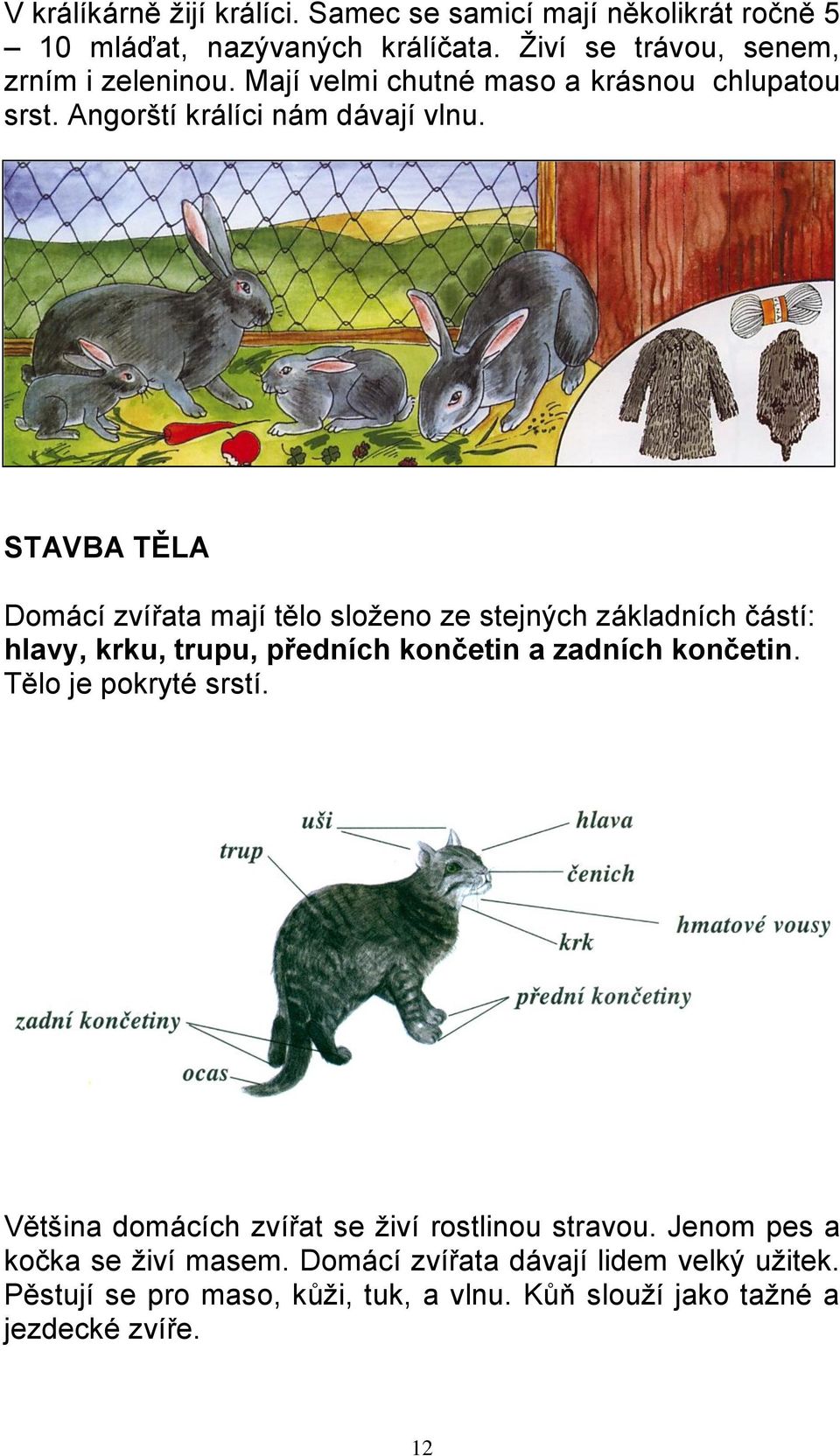 STAVBA TĚLA Domácí zvířata mají tělo složeno ze stejných základních částí: hlavy, krku, trupu, předních končetin a zadních končetin.