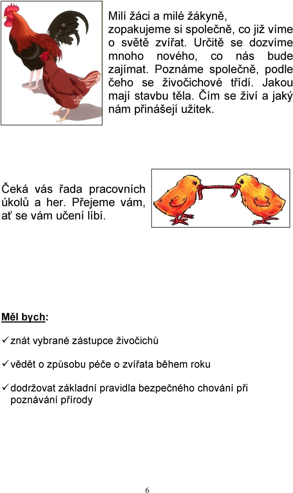 Jakou mají stavbu těla. Čím se živí a jaký nám přinášejí užitek. Čeká vás řada pracovních úkolů a her.