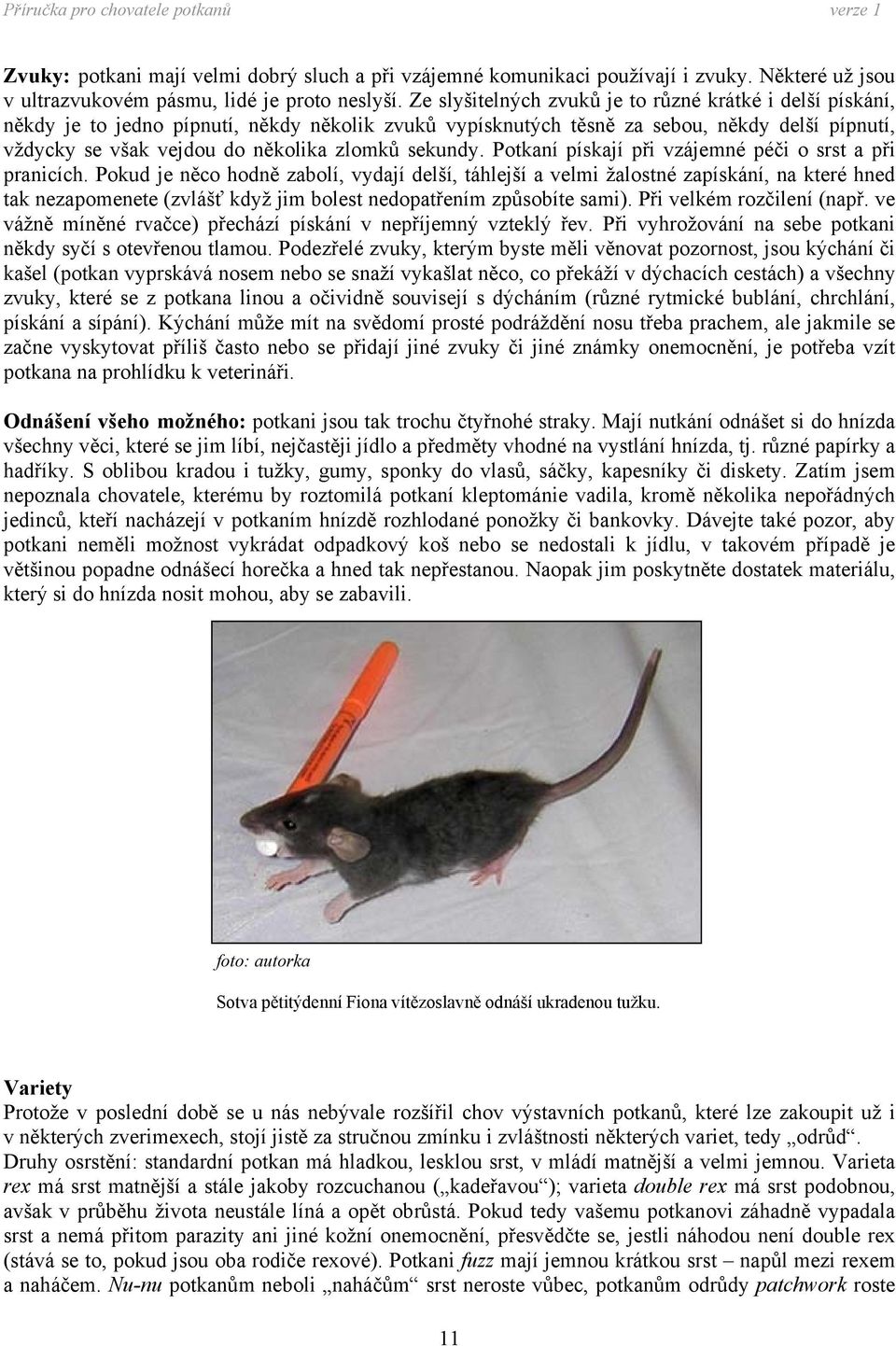 sekundy. Potkaní pískají při vzájemné péči o srst a při pranicích.