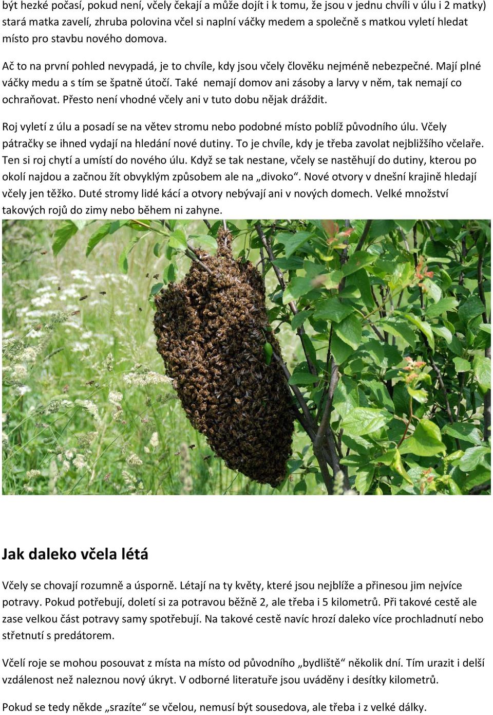 Také nemají domov ani zásoby a larvy v něm, tak nemají co ochraňovat. Přesto není vhodné včely ani v tuto dobu nějak dráždit.