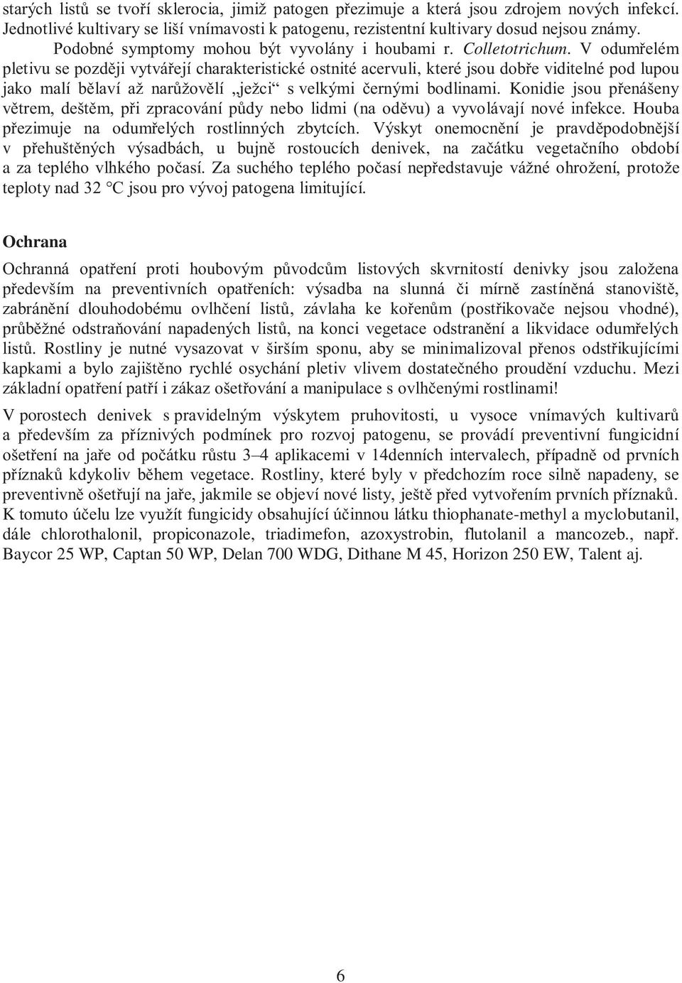 V odumřelém pletivu se později vytvářejí charakteristické ostnité acervuli, které jsou dobře viditelné pod lupou jako malí bělaví až narůžovělí ježci s velkými černými bodlinami.