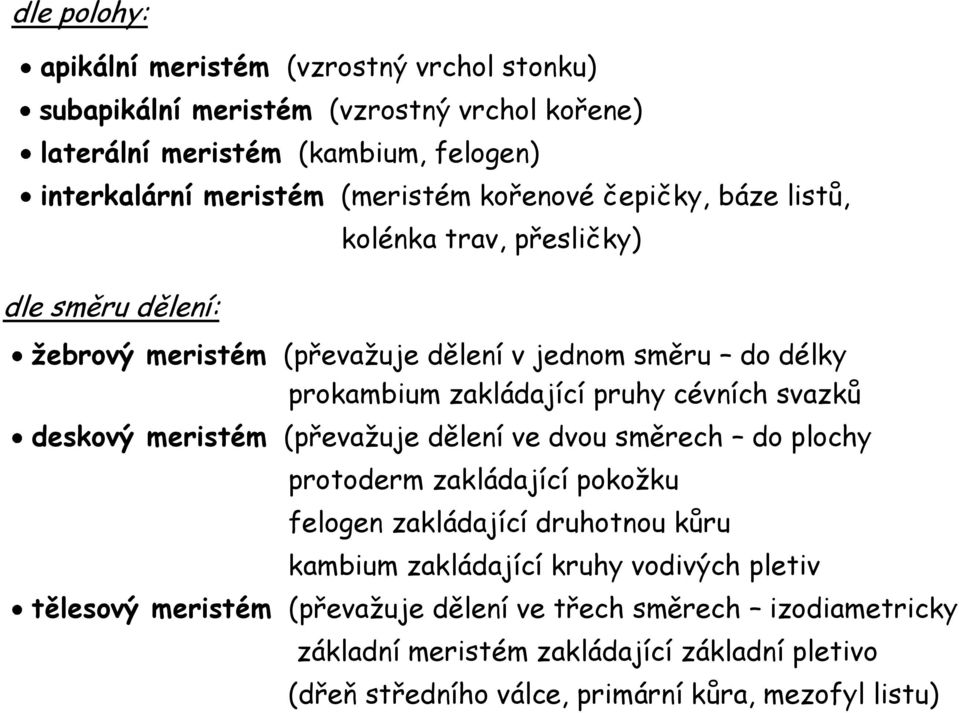 svazků deskový meristém (převažuje dělení ve dvou směrech do plochy protoderm zakládající pokožku felogen zakládající druhotnou kůru kambium zakládající kruhy vodivých