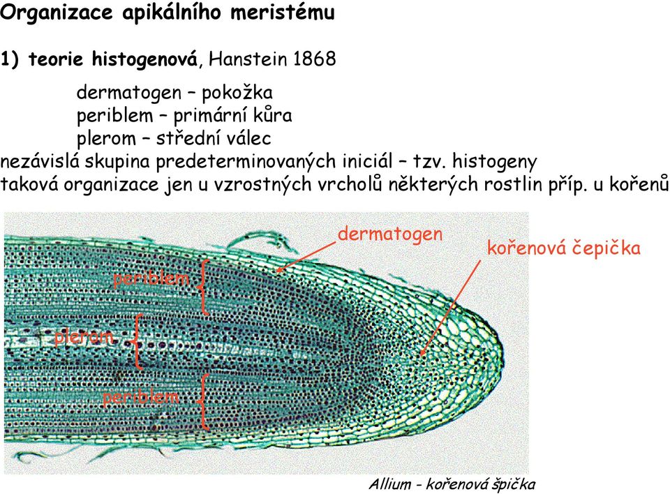 predeterminovaných iniciál tzv.