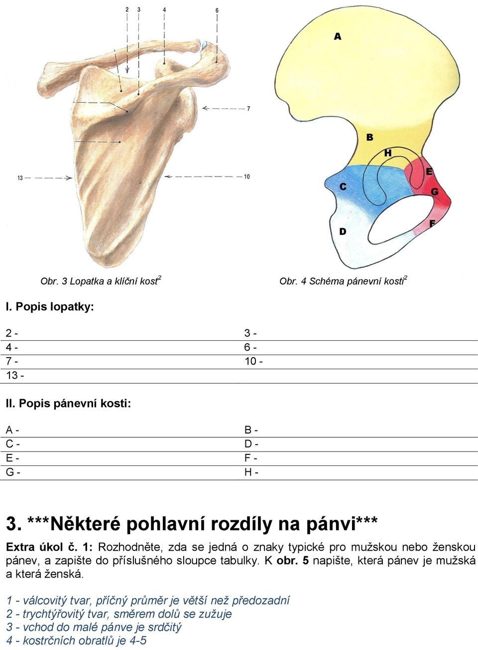 1: Rozhodněte, zda se jedná o znaky typické pro muţskou nebo ţenskou pánev, a zapište do příslušného sloupce tabulky. K obr.