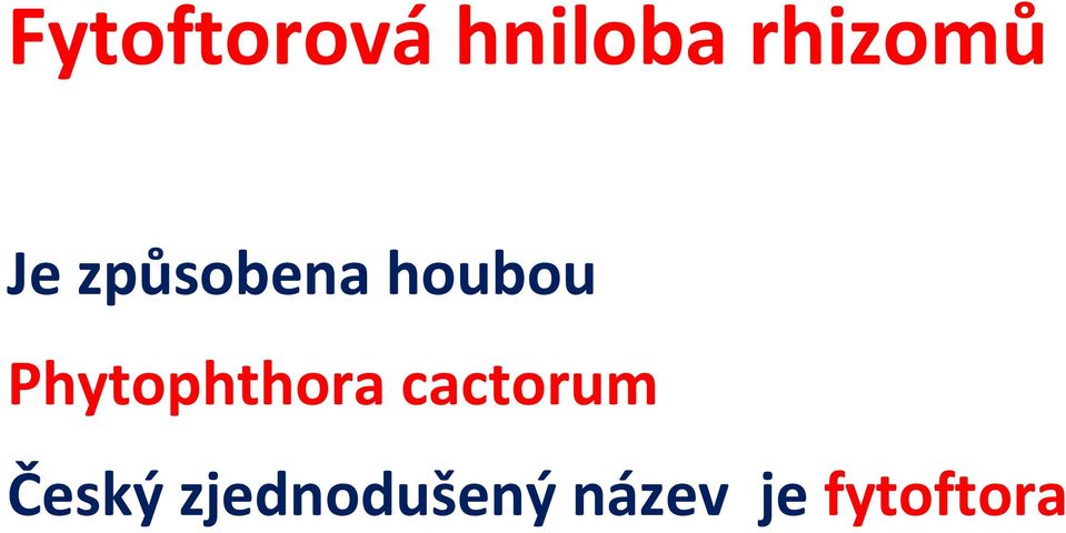 houbou Phytophthora