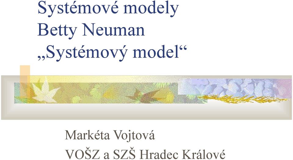 Systémový model